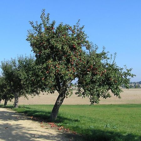 Fewo Muehlehof Konigshain 外观 照片
